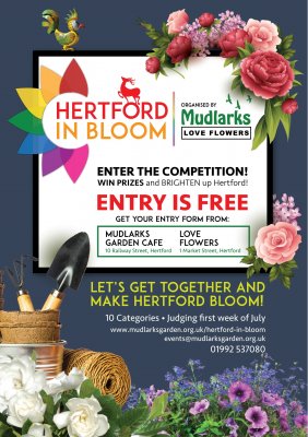 Image for Hertford in Bloom is to launch this week, organised by Mudlarks and Love Flowers