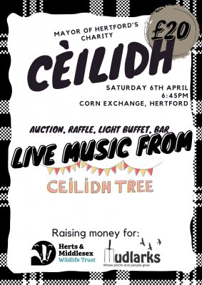 Image for The Mayor of Hertford's Cèilidh