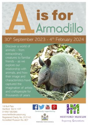 Image for A is for Armadillo