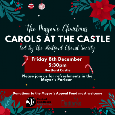 Image for Carols at the Castle
