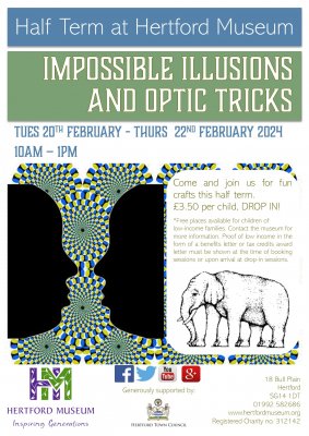 Image for Impossible Illusions & Optic Tricks