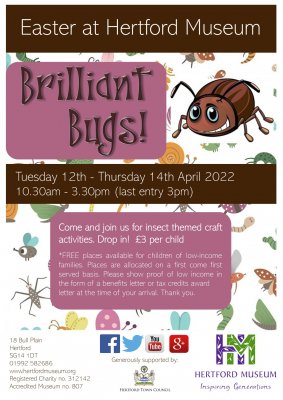 Image for Easter at Hertford Museum - Brilliant Bugs