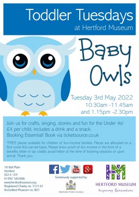 Image for Toddler Tuesday: Baby Owls