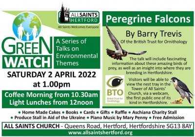 Image for Green Watch Talk - Peregrine Falcons