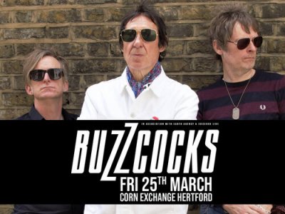 Image for Buzzcocks