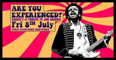 Image for Are You Experienced?