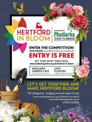 Image for Hertford in Bloom Competition