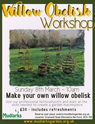 Image for Willow Obelisk Workshop